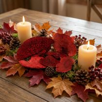 Artículo Esponja de arbol roja 1kg