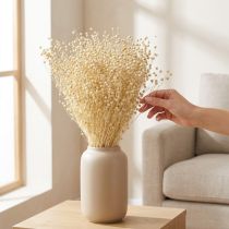 Artículo Hierba seca de lino seco natural blanqueado 50-55cm 180g