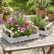 Artículo Jardinera Shabby Chic macetero madera blanco 38/31cm juego de 2