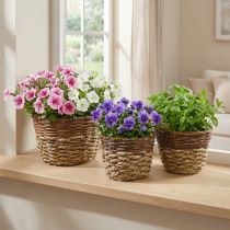 Artículo Cesta natural para plantar, decoración de cestas, cuencos para plantas natural L21/19/16cm H21/19/16cm juego de 3