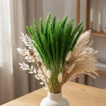 Artículo Mijo de cerdas verdes Setaria viridis hierba seca 52cm 28g