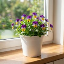 Artículo Maceta de plástico “Irys” blanca Ø15cm H13cm 1 ud