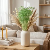 Artículo Flores secas, umbelíferas, verdes, 70-80cm, 150g