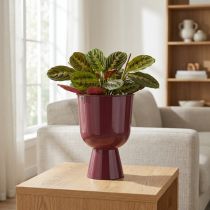 Artículo Maceta, forma de copa, estilo moderno, decorativa para cualquier hogar y oficina, 23cm