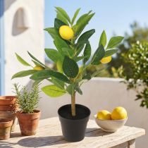 Artículo Limonero artificial en maceta, 40cm de alto, elemento decorativo destacado