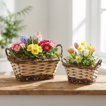 Artículo Jardinera, cesta decorativa, cuadrada, colores naturales 21 × 16/16 × 13 cm, juego de 2