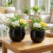 Artículo Macetero Cerámica Huevo Negro Macetero Negro Ø12cm 2uds