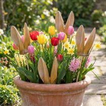 Artículo Estaca de jardín con orejas de conejo, figura de animal primaveral para decoración de jardín y Pascua, 29 cm, 4 piezas