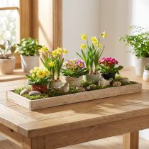 Artículo Bandeja decorativa bandeja oblonga de madera natural 42×14×3cm 3ud