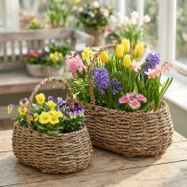 Artículo Cesta para plantas con asa, cesta para flores, L23/35cm, juego de 2