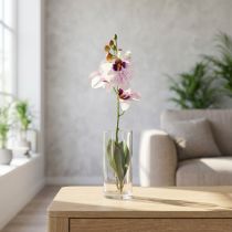 Artículo Orquídea Phalaenopsis artificial, blanca y morada, 43 cm