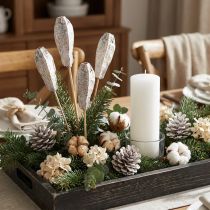 Artículo Vainas de caoba decoración seca blanco natural 45cm 50 uds