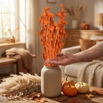 Artículo Flores secas cardo seco cardo fresa naranja 100g