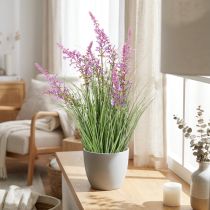 Artículo Vegetación decorativa con delicadas flores para un diseño de habitación elegante de 67 cm.