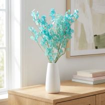 Artículo Planta del dinero Planta seca Lunaria Azul claro 65-70cm 20g