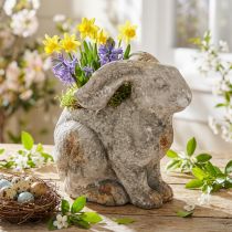 Artículo Maceta decorativa de hormigón con forma de conejo de Pascua, color gris antiguo, 27 cm de alto.