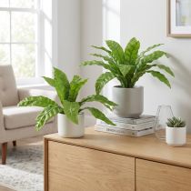 Artículo Plantas artificiales Helecho nido de pájaro 5,5×22cm 2 uds