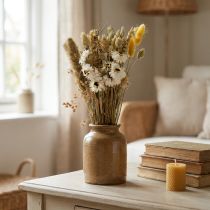 Artículo Ramo de flores secas flores de paja Phalaris blanco amarillo 30cm