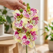 Artículo Rama de orquídea artificial Phaelaenopsis Verde Rosa H49cm