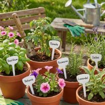 Artículo Escudo de planta 8cm 100pcs