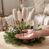 Artículo Luffa pequeña en palo blanqueada 25 piezas