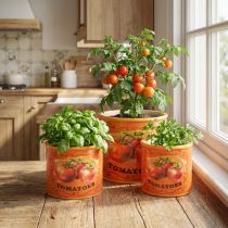 Artículo Juego de 3 macetas de cerámica para tomates, decorativas para cocina y decoración retro, 14 cm