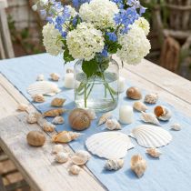 Artículo Conchas de caracol decorativas Caracoles de mar naturaleza Decoración marítima 350g