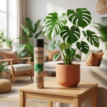 Artículo Oasis Floralife Brillo de Hojas Spray Brillo de Hojas 750ml