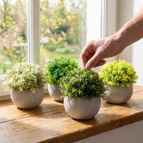Artículo Plantas artificiales Boj artificial 12,5cm×Ø12cm 4ud