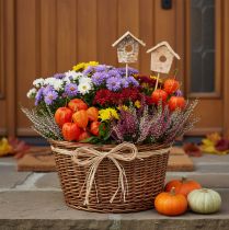 Artículo Casita decorativa para pájaros, abedul, 5 cm, estacas para flores, 4 piezas