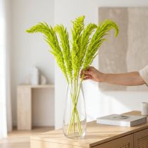 Artículo Flores secas de amaranto teñidas para decoración del hogar y acentos únicos 100 cm, 5 pzs