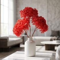 Artículo Hortensia decorativa: flor seca preservada para un diseño interior elegante.