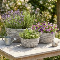 Artículo Juego de cestas de mimbre para plantas, blanco y gris, decoración shabby chic, 3 piezas