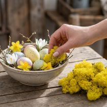 Artículo Deco musgo musgo de reno amarillo para manualidades amarillo limón 500g