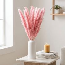Artículo Hierba seca decorativa rosa Pampas 70cm 10 piezas