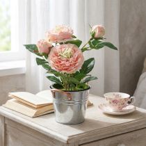 Artículo Rosa decorativa en maceta, románticas flores de seda, peonía rosa