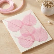 Artículo Hojas de esqueleto, hojas de sauce decorativas rosas de 5 a 9 cm, 200 piezas - Ideal para tarjetas de felicitación y manualidades