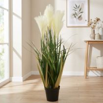 Artículo Hierba de caña en maceta Planta artificial en maceta Crema, Verde 79cm