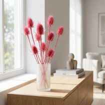 Artículo Decoración seca de cardo silvestre, cardos rosados, 53 cm, 10 cabezas