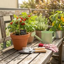 Artículo Juego de herramientas de jardinería con rastrillo de acero inoxidable, pala de mano y estacas de jardín, idea de regalo para los amantes de la jardinería.