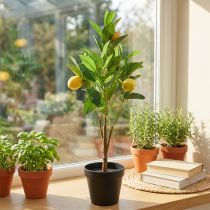 Artículo Limonero artificial en maceta, decoración mediterránea, planta de limón artificial, H58cm