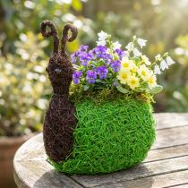 Artículo Jardinera Caracol Vine Natural, Verde 21x14cm H26cm