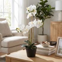 Artículo Orquídea artificial en maceta para un ambiente armonioso, blanca, 60cm