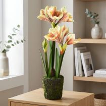 Artículo Amarilis en una bola de musgo artificial con flores estampadas en amarillo rosa - 45 cm - Decoración exótica y elegante