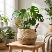 Artículo Cesta con asas, macetero, algas marinas, yute, Ø23cm H20cm, boho chic, decoración jungla urbana