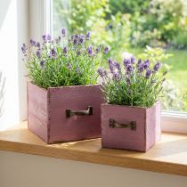 Artículo Cajón para plantas jardinera madera violeta 12,5/16cm juego de 2
