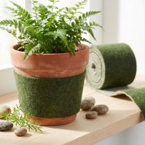 Artículo Cinta de fieltro Franzi pot cinta lana fieltro verde oscuro 15cm 4m