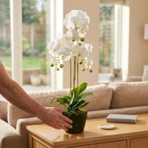 Artículo Orquídeas artificiales para maceta blanca 80cm