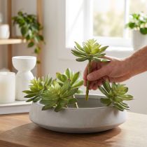 Artículo Suculentas Artificiales Plantas Artificiales Verde Ø10cm 4 uds