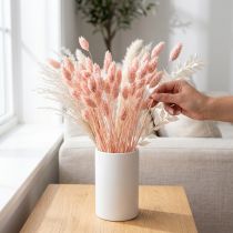 Artículo Hierba seca brillante rosa Phalaris decoración seca 65cm 60g